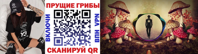 Псилоцибиновые грибы Psilocybe  Котово 